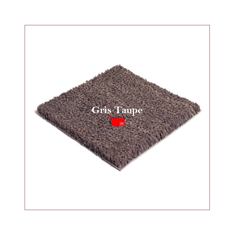 Tapis Brosse Coco Personnalisé avec Lettrage