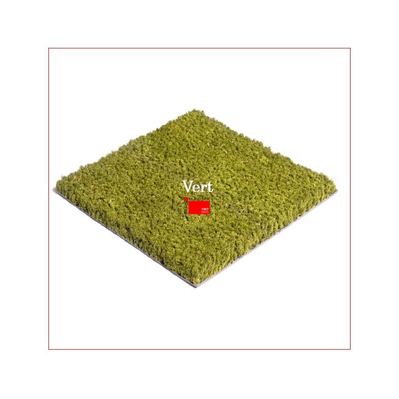 Tapis Brosse Coco Epais Personnalisé avec Lettrage