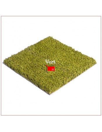 Tapis Brosse Coco Epais Personnalisé avec Lettrage