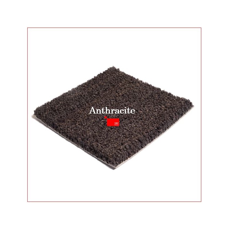 Tapis Brosse Coco Epais Personnalisé avec Lettrage