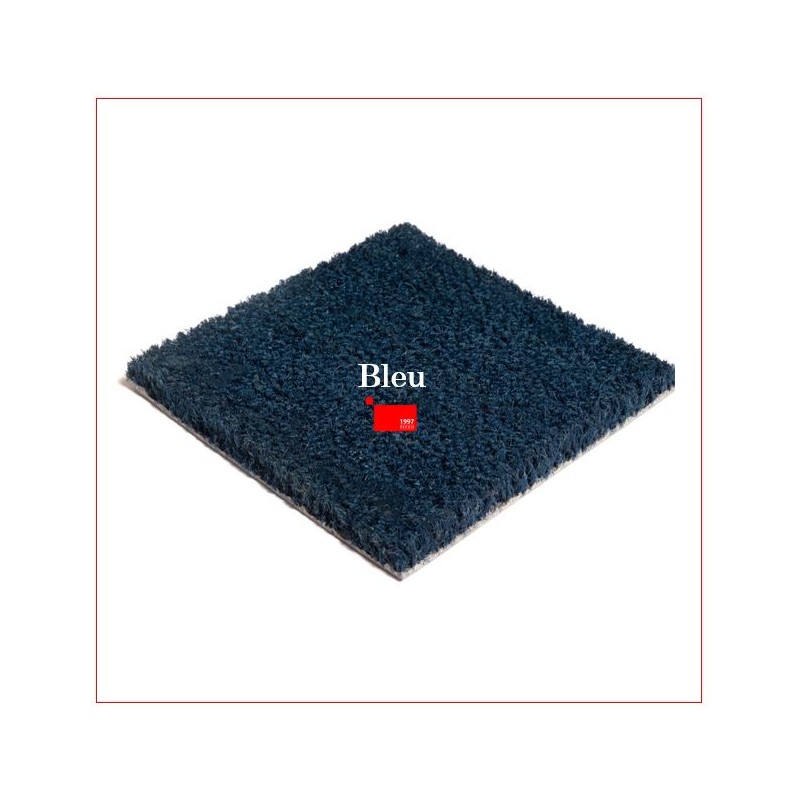 Tapis Brosse Coco Epais Personnalisé avec Lettrage