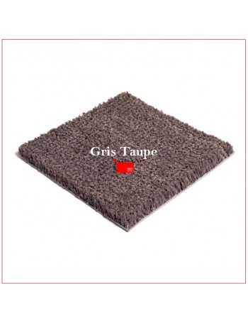 Tapis Brosse Coco Epais Personnalisé avec Lettrage