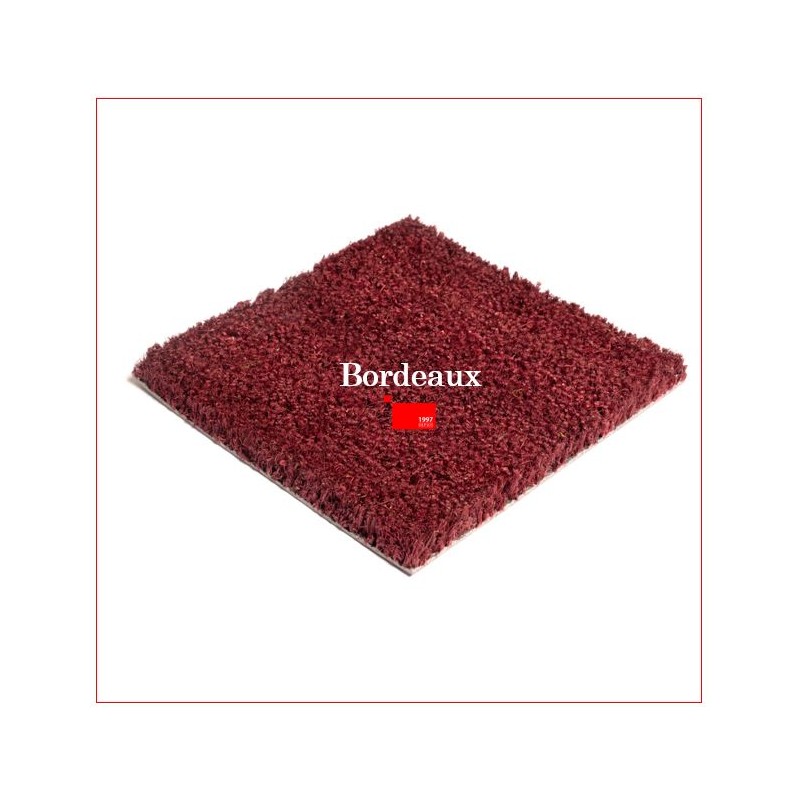 Tapis Brosse Coco Epais Personnalisé avec Lettrage