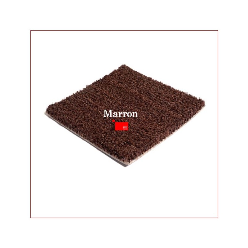 Tapis Brosse Coco Epais Personnalisé avec Lettrage