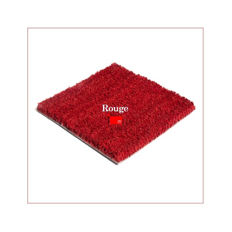 Tapis Brosse Coco Epais Personnalisé avec Lettrage