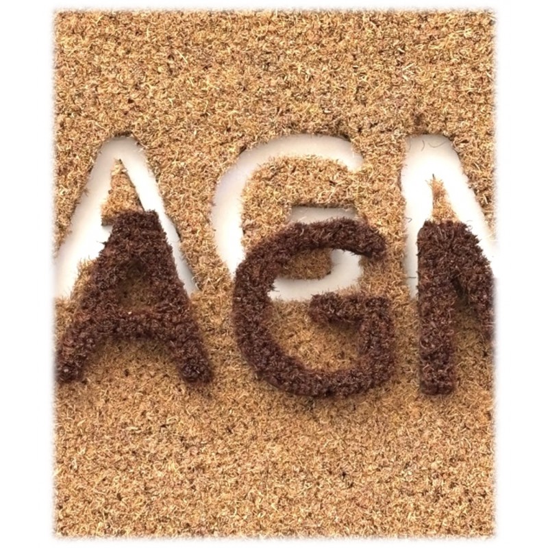 Tapis Brosse Coco Epais Personnalisé avec Lettrage