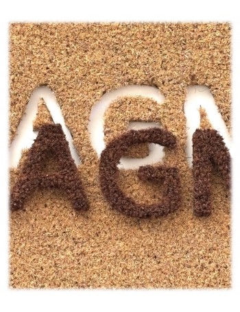 Tapis Brosse Coco Epais Personnalisé avec Lettrage