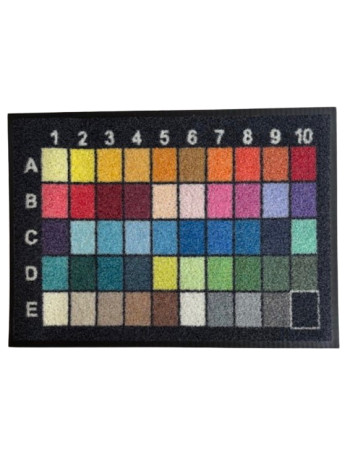 Tapis Logo Extèrieur sur Mesure - Impression Numérique