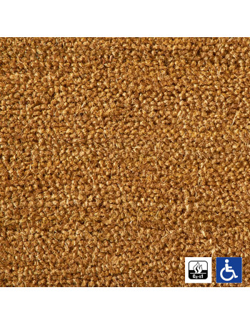 Paillasson Brosse Coco Qualité PMR-ERP