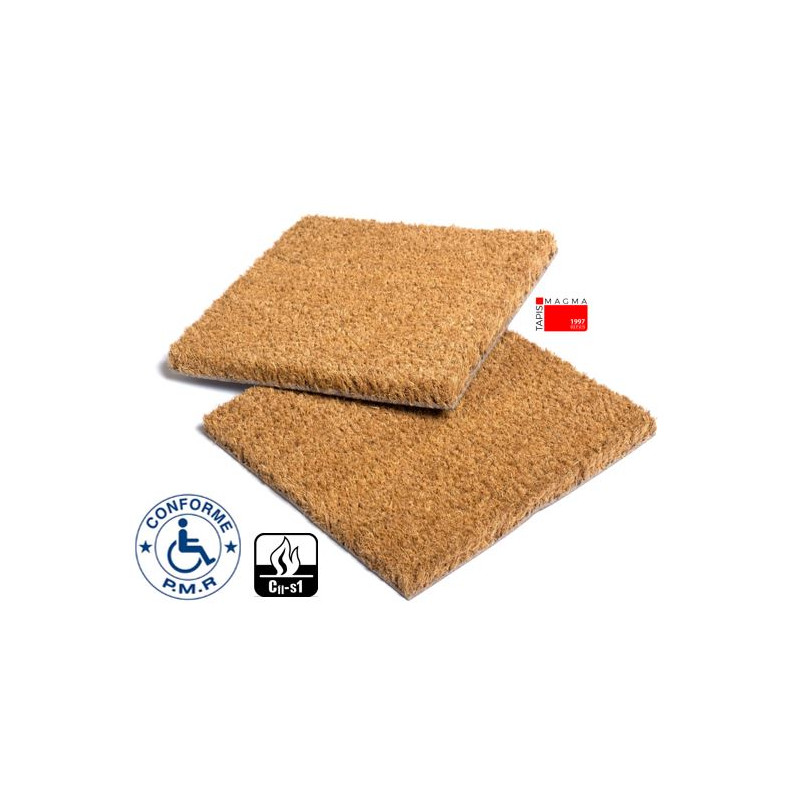 Tapis Coco pour ERP aux Normes PMR