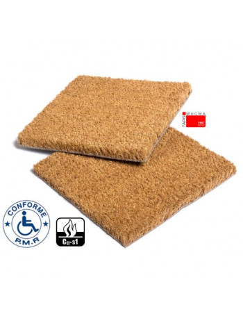 Tapis Coco pour ERP aux Normes PMR