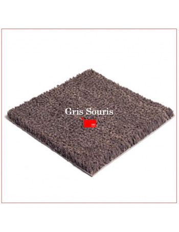 Tapis Brosse Coco Teinté dans la Masse - Choix de Couleurs