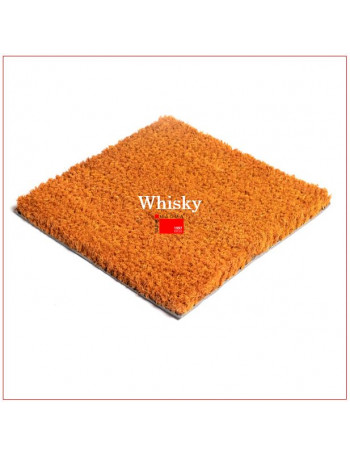 Tapis Brosse Coco Teinté dans la Masse - Choix de Couleurs