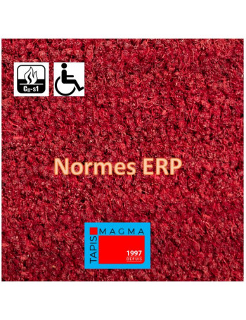 Tapis Coco Rouge Normes PMR sur Mesure