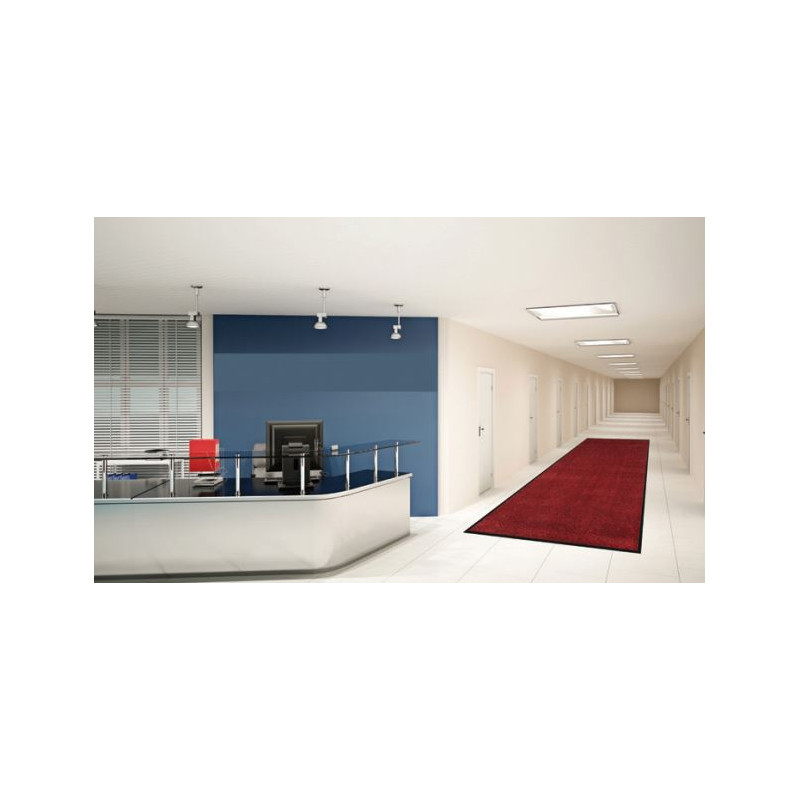 Tapis d'Entrée Fin - Stop Humidité - Anti Salissure - Ecologique