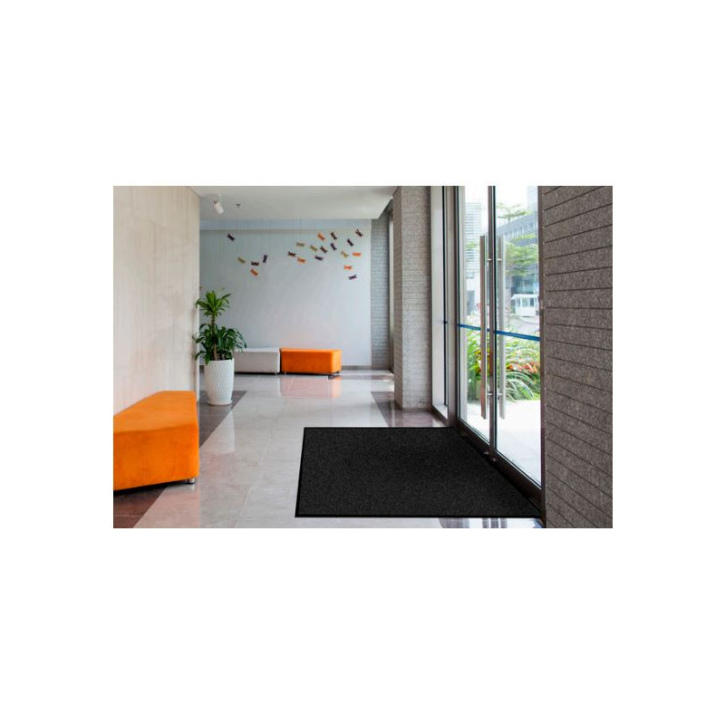 Tapis d'Entrée Fin - Stop Humidité - Anti Salissure - Ecologique