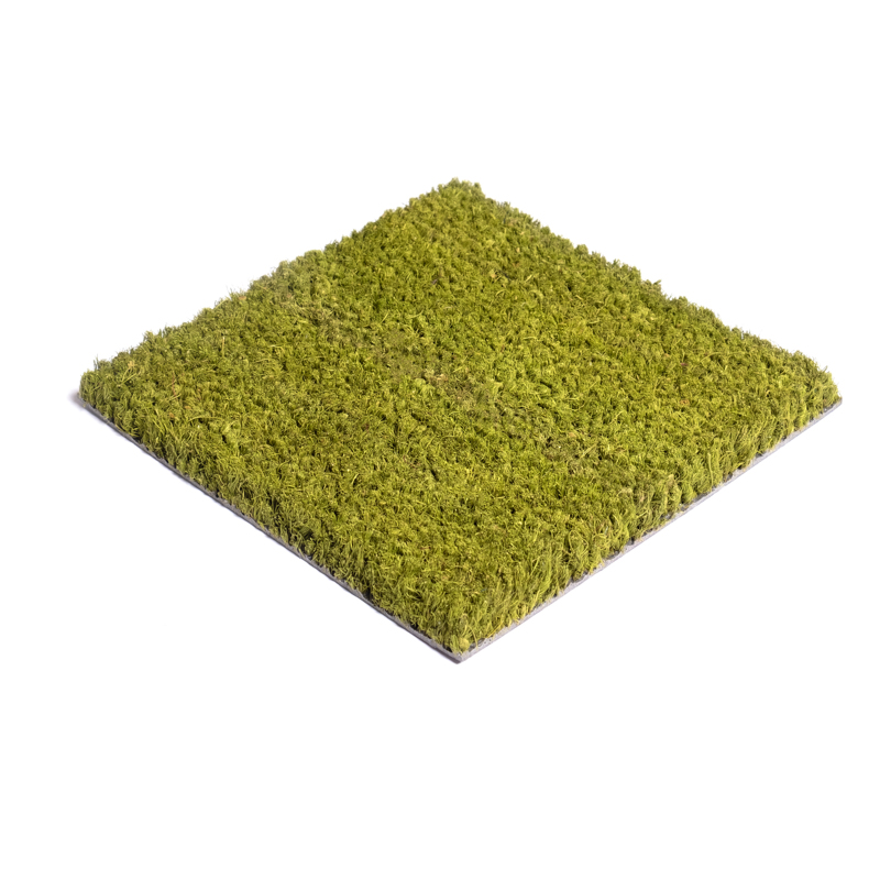 Couleur Vert